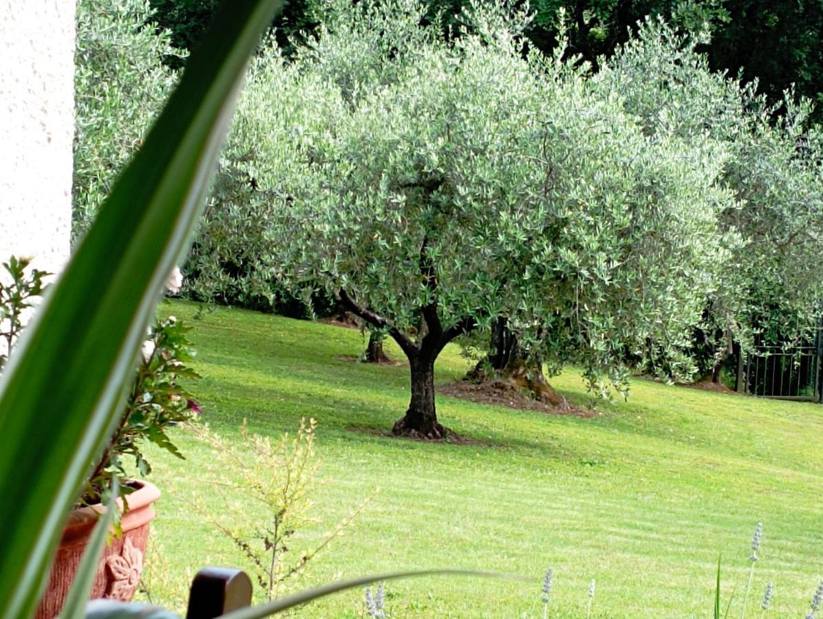 Villa Luna Comeana Exteriör bild