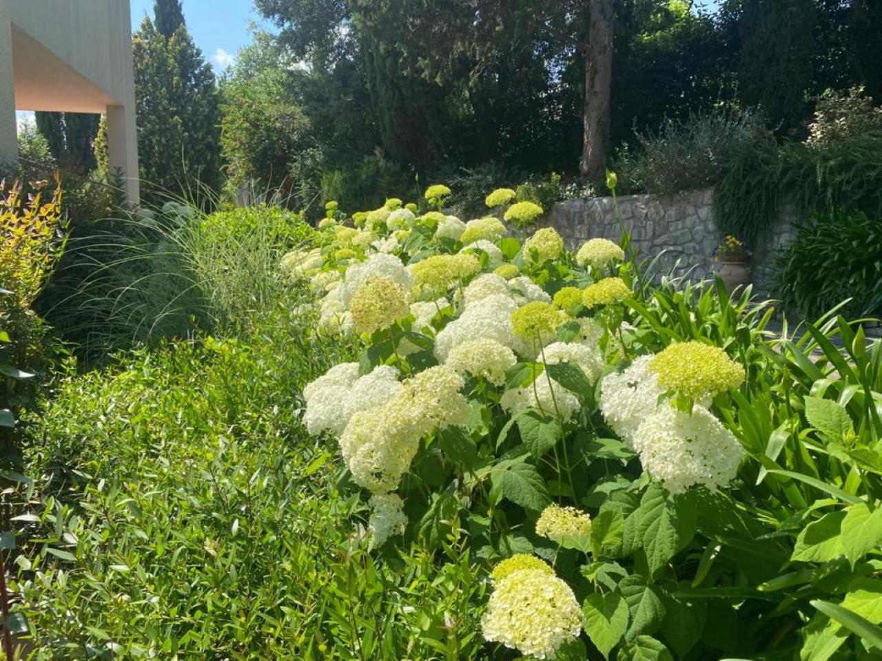 Villa Luna Comeana Exteriör bild