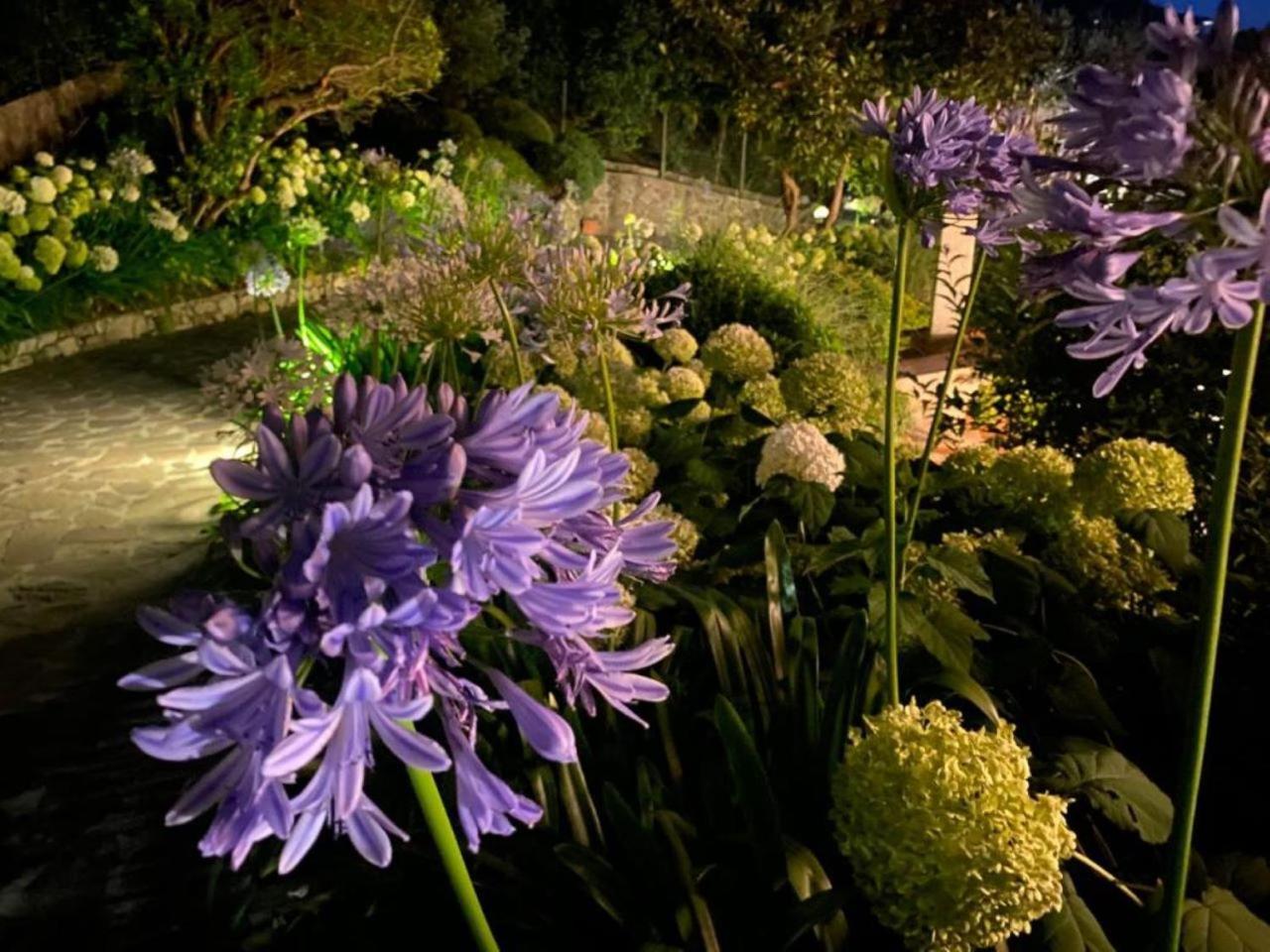 Villa Luna Comeana Exteriör bild