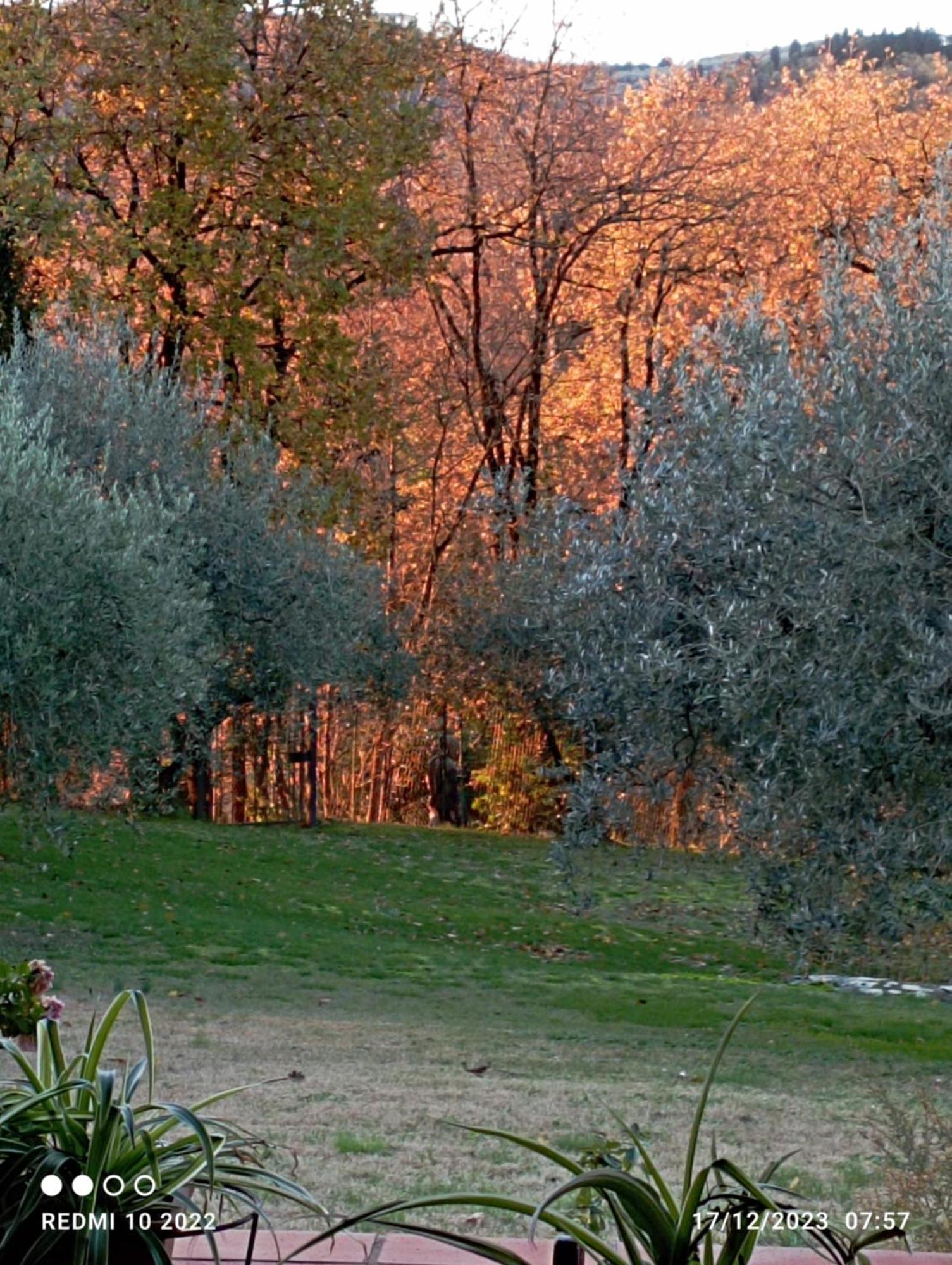 Villa Luna Comeana Exteriör bild