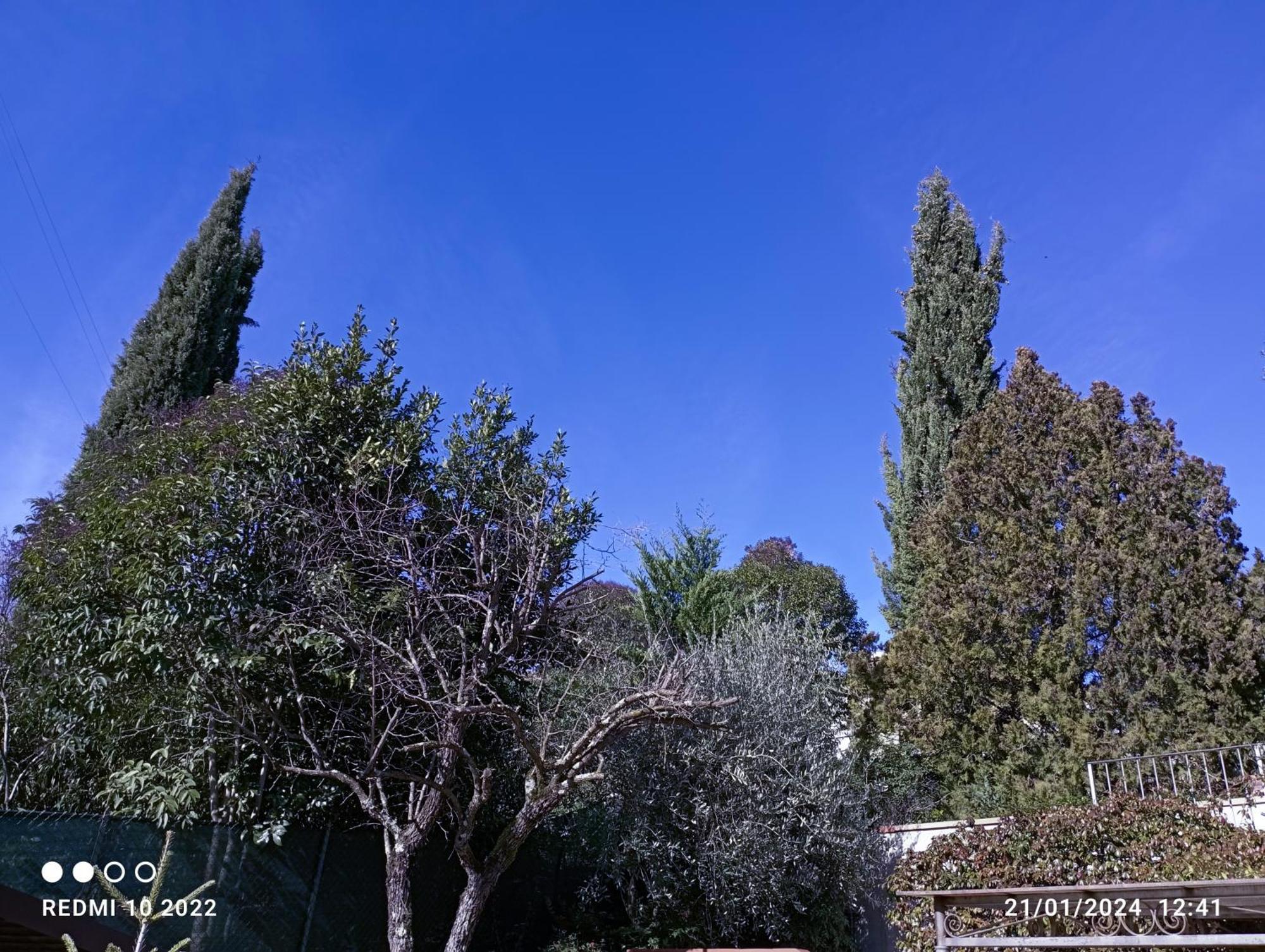 Villa Luna Comeana Exteriör bild