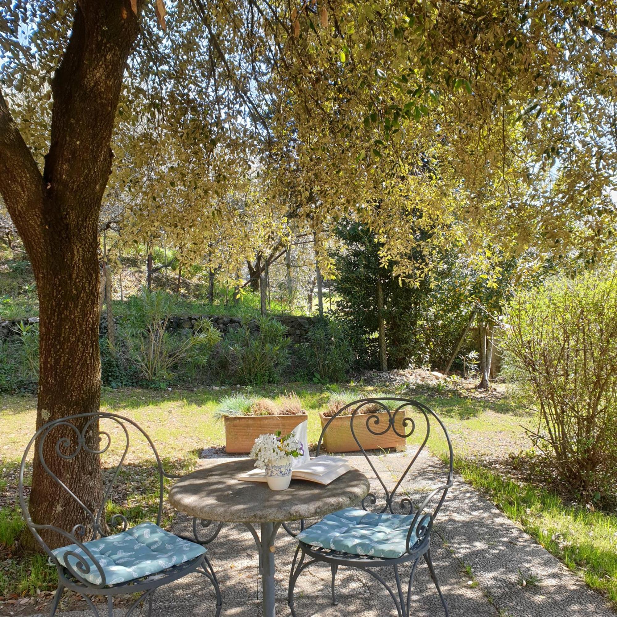 Villa Luna Comeana Exteriör bild