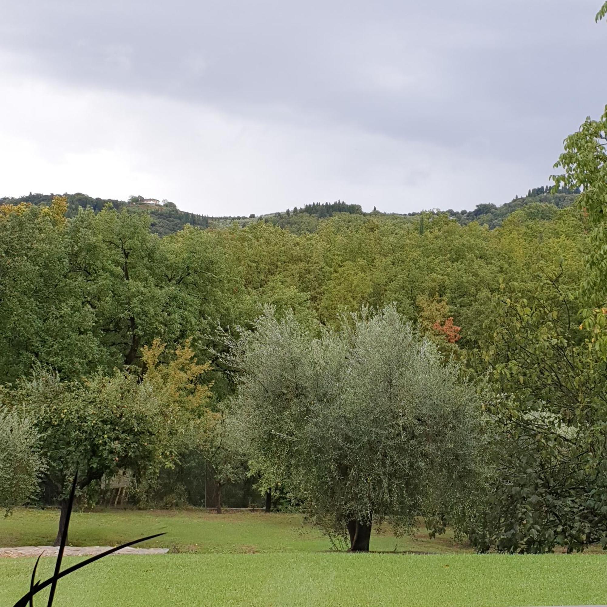 Villa Luna Comeana Exteriör bild