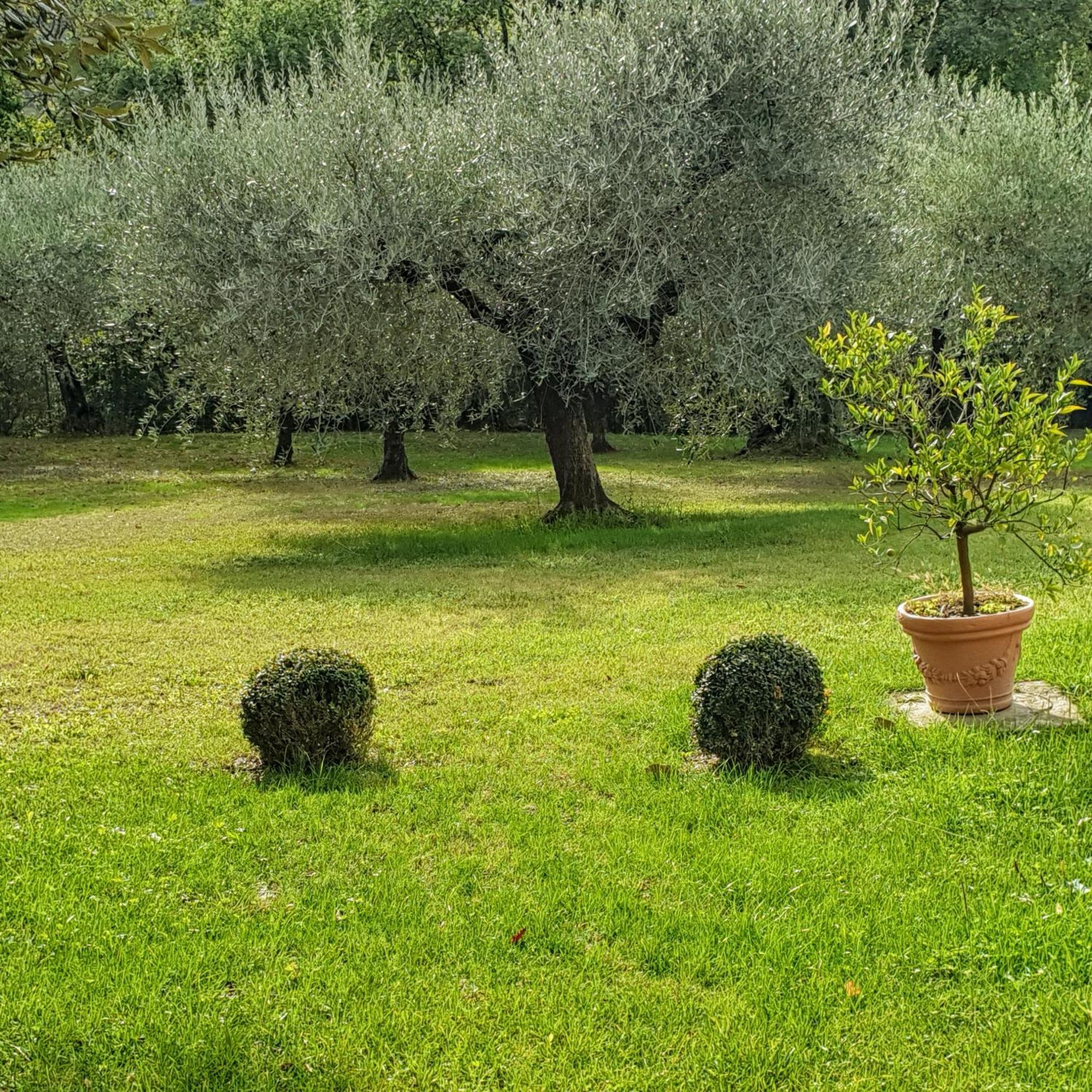 Villa Luna Comeana Exteriör bild
